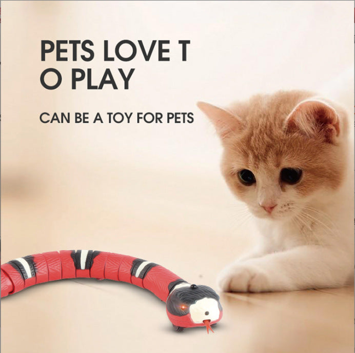 Magic Snake - Smart Toy for Cats